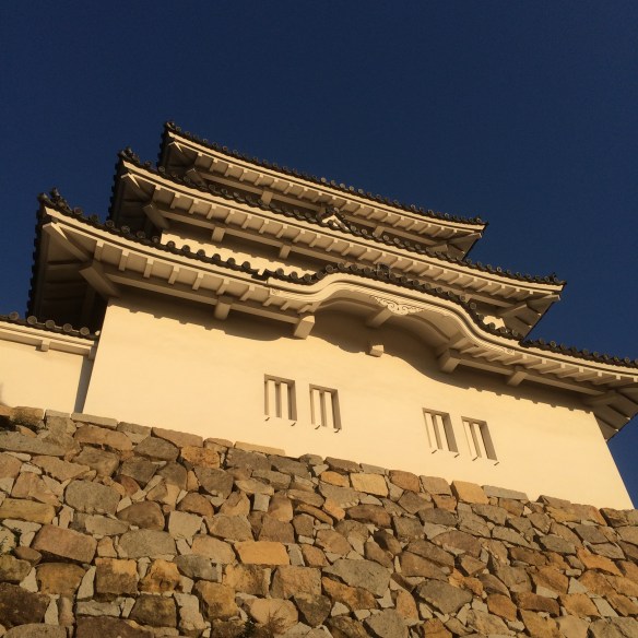 Image © Rory Manchee - all rights reserved