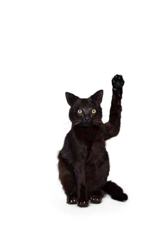 Image: "Untitled" (2012) by Greatest Hits, NGV, Melbourne © Greatest Hits